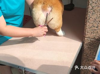 祝乐派宠物医院早日倒闭！