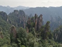 -唐师傅湘西名菜馆(武陵路店)