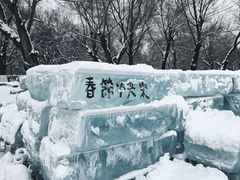 -长春市南湖公园