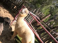 -汕尾铜鼎山旅游区