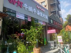 -粉灯牛腩牛杂煲·鸡煲(双井店)
