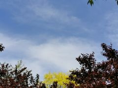 -永定河休闲森林公园