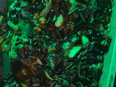 -路边边.炒菜烧烤.音乐餐厅(良乡长虹店)