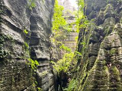 -梭布垭石林景区