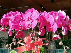 -北京保利大厦酒店(东四十条地铁站店)