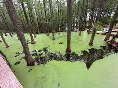 -渌洋湖湿地公园