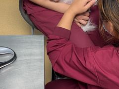 -瑞派·关忠动物医院·猫专科·犬专科(三环新城店)