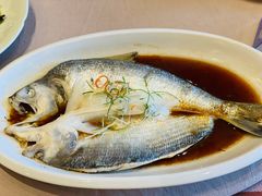 红蒸鲜鲥鱼-名豪品鲜荟(云亭店)
