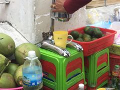 -芽庄喜来登水疗酒店
