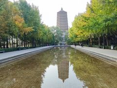 -玲珑塔公园