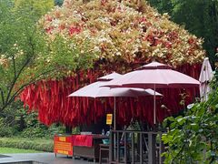 -狼山风景名胜区