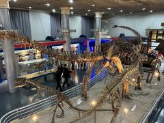 -国家自然博物馆