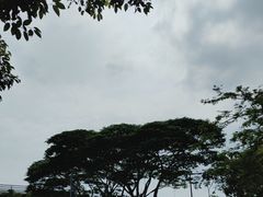 -深圳湾公园(南山区)