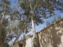 -敦煌莫高窟数字展示中心