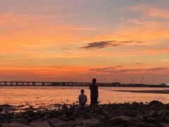 -宝安西湾红树林湿地公园