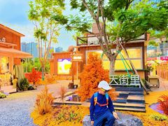 -首开·龙湖成都西宸天街