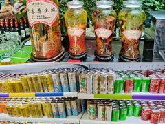 -陆地游轮西山温泉号