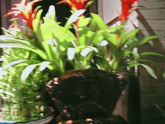 -新沸腾鱼乡(世贸天阶店)