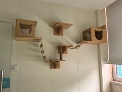 -美联众合动物医院·24h京西诊疗中心