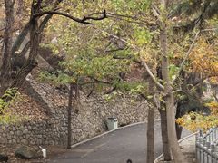-沂蒙山旅游区云蒙景区(蒙山国家森林公园)