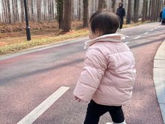 -黄海国家森林公园