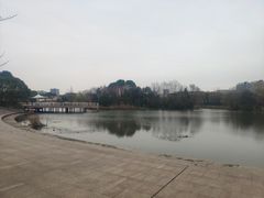 -新江湾城公园