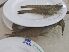-春华海鲜城(广场西苑店)