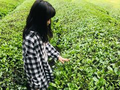 -敬亭山风景名胜区