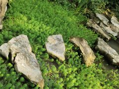 -南山植物园