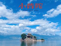 -小普陀