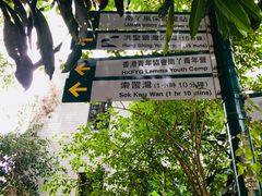 -南丫岛