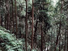 -龙湾潭国家森林公园