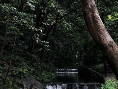 -灵隐飞来峰景区