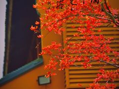 -龙华寺