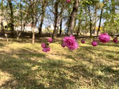 -元大都城垣遗址公园