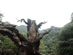 -龙湾潭国家森林公园