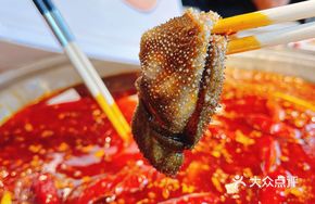 Specialty Bull Tripe for Butchery