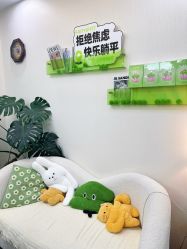 -凡碧诗毛孔清洁收细