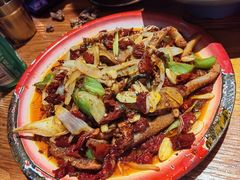 -柴窝堡22号辣子鸡·传承新疆菜