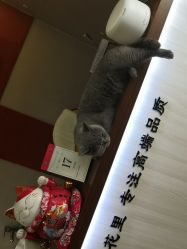 点击看大图 -济南花里美甲美睫