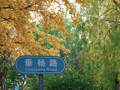 -辽宁大学(崇山校区)