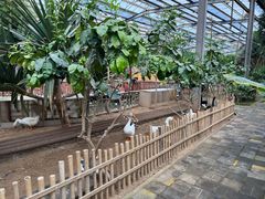 -呀路古热带植物园