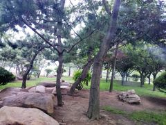 -日照灯塔风景区