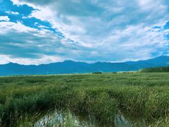 -野鸭湖国家湿地公园