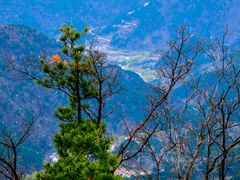 -王顺山国家森林公园