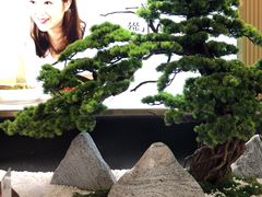 -湖兰金牌小炒肉(玉环万达店)