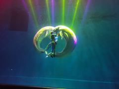 -芜湖新华联大白鲸海洋公园