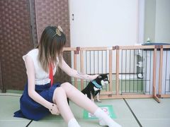 -秋叶原电器街