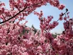 -龙口南山旅游景区