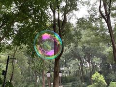 -忠山公园